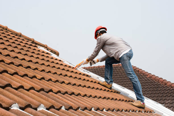 Professional Roofing services in Dupont, WA